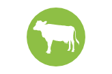 picto vert vache laitiere ferme des douces prairies agriculture biologique normandie