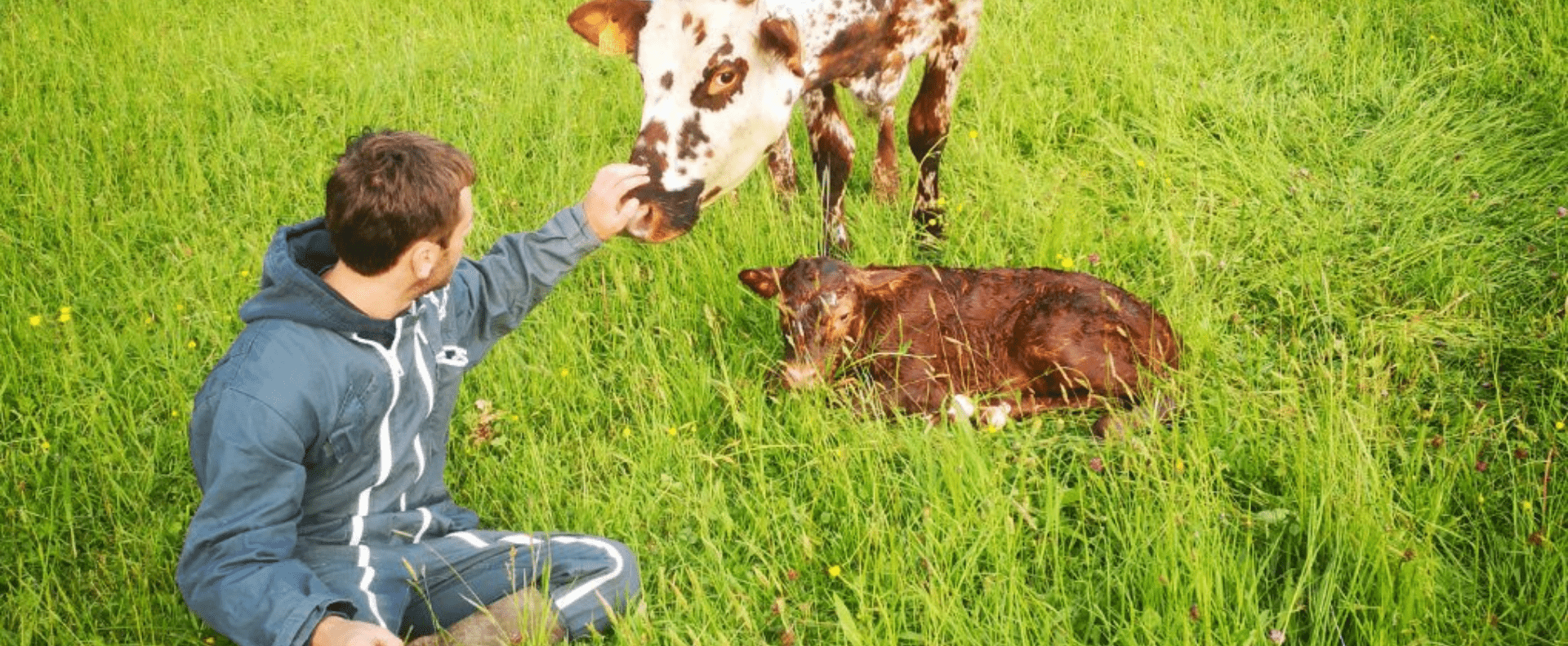 ferme des douces prairies - cotentin - normandie - ferme vente directe bio - agriculture biologique - lait - vaches laitières normandes - champ printemps - equipe - slider-min
